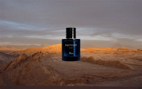 dior sauvage review|which dior sauvage is best.